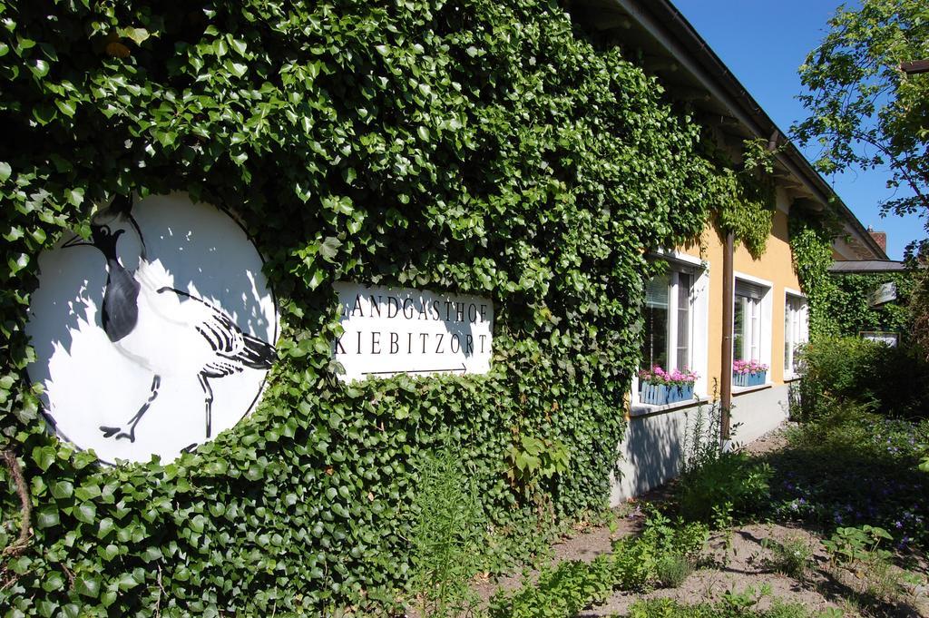 Hotel Kiebitzort Ruegen Ummanz